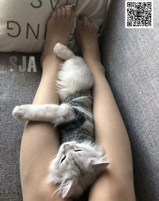 國產成人午夜久久_1080P免费观看电视剧