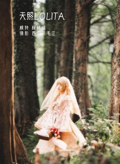 伦理电影在线看_BD免费观看