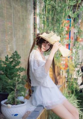 免费观看动漫美女被靠网站_DVD在线播放